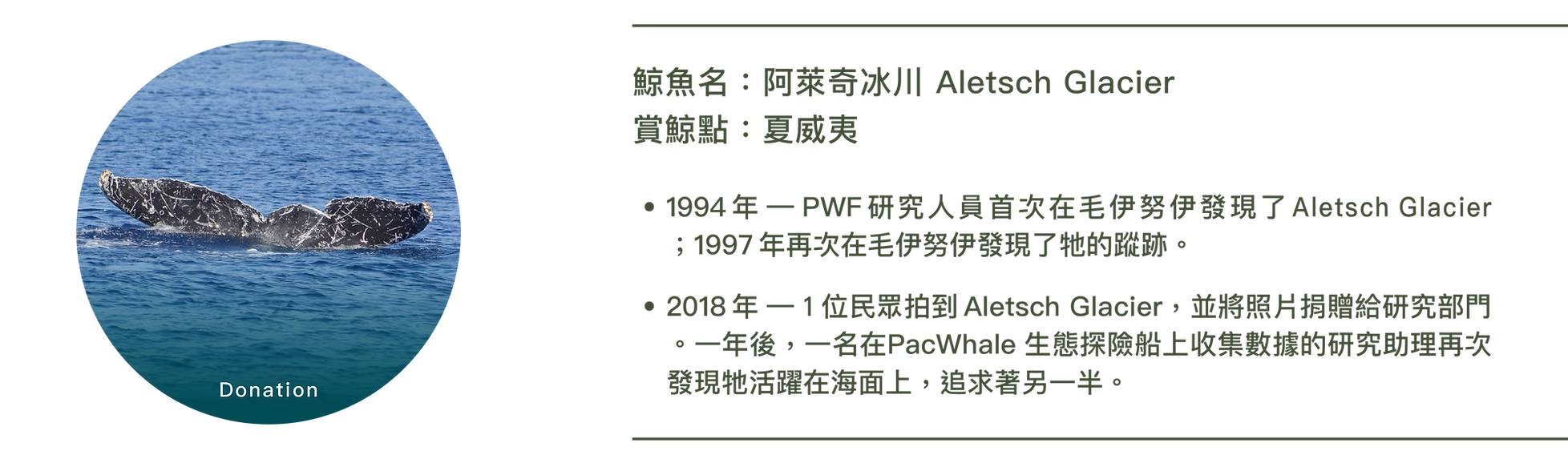 05.29.23_WEB BANNER_永續發展-05.png